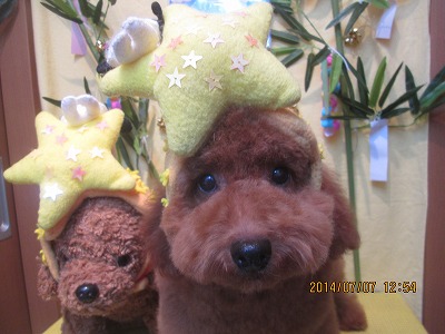 ファイル 7597-2.jpg