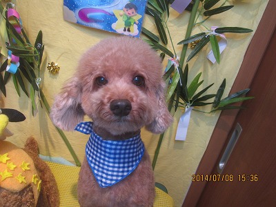 ファイル 7598-2.jpg