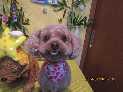 ファイル 7599-2.jpg