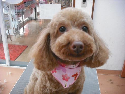 ファイル 76-1.jpg