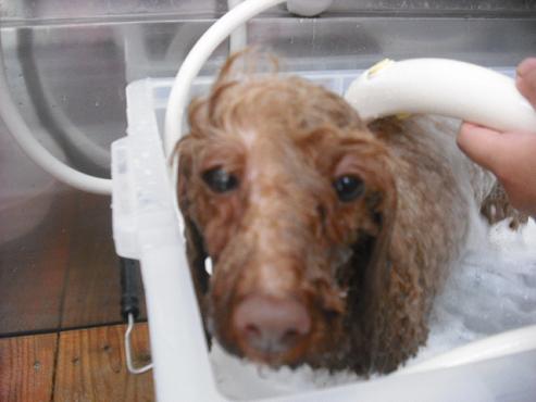 ファイル 76-2.jpg