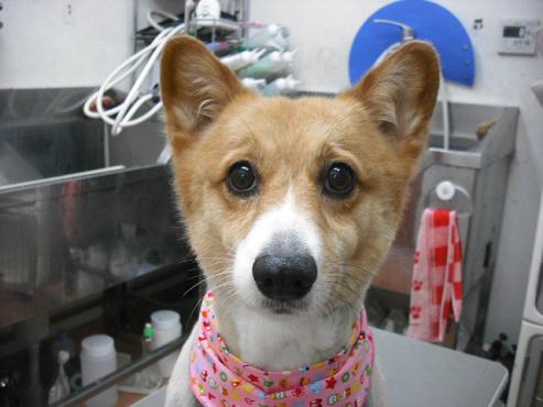 ファイル 760-1.jpg