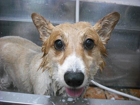 ファイル 760-2.jpg