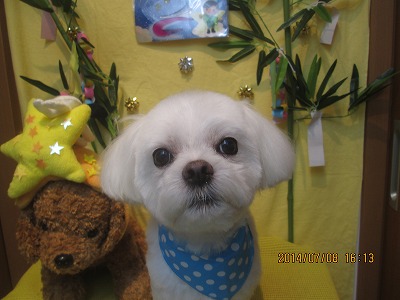 ファイル 7601-2.jpg