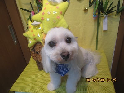 ファイル 7603-2.jpg