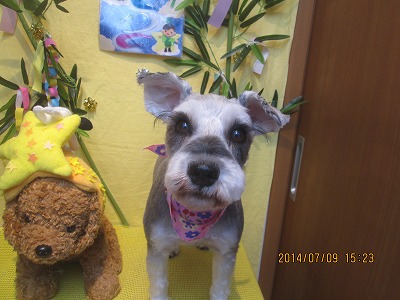 ファイル 7604-2.jpg