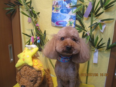 ファイル 7605-2.jpg