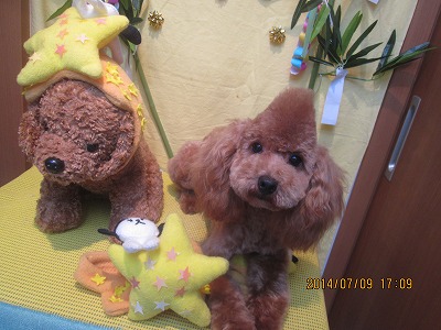 ファイル 7606-1.jpg