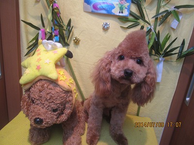 ファイル 7606-2.jpg