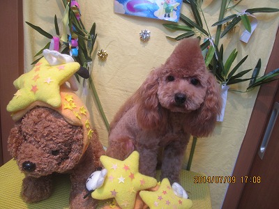 ファイル 7606-3.jpg