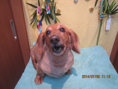 ファイル 7607-1.jpg