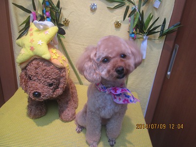 ファイル 7608-2.jpg