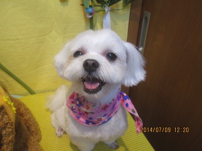 ファイル 7609-2.jpg