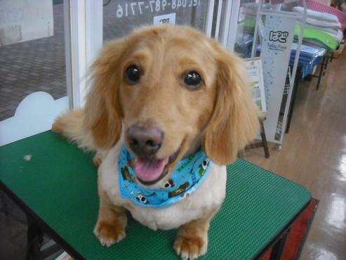 ファイル 761-1.jpg