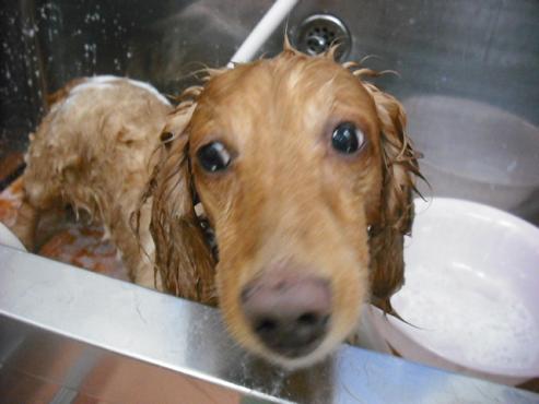 ファイル 761-2.jpg