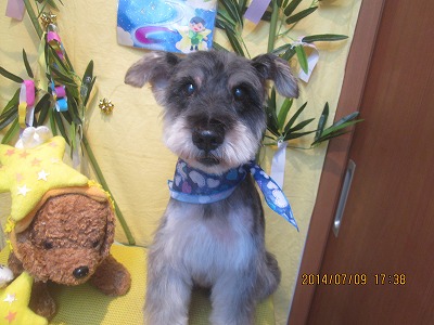 ファイル 7610-1.jpg