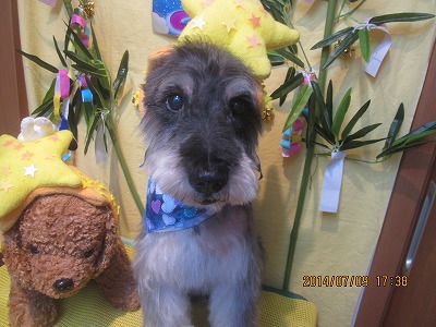 ファイル 7610-2.jpg