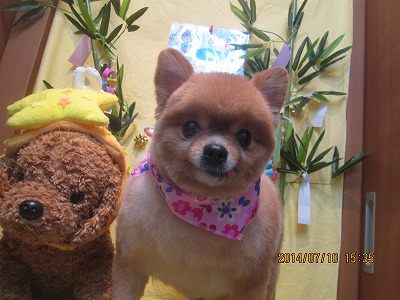 ファイル 7612-2.jpg