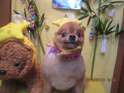 ファイル 7612-3.jpg