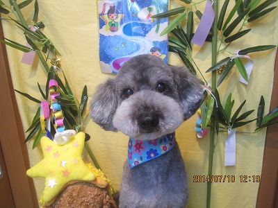 ファイル 7613-2.jpg