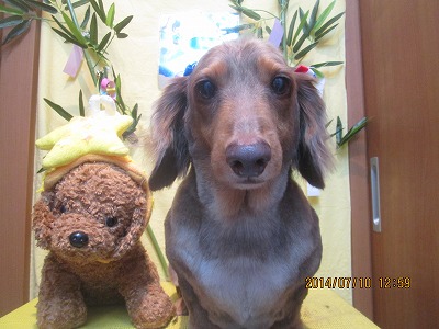 ファイル 7614-1.jpg