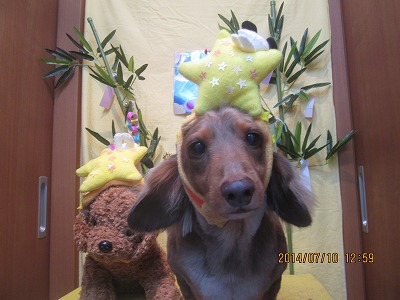 ファイル 7614-2.jpg