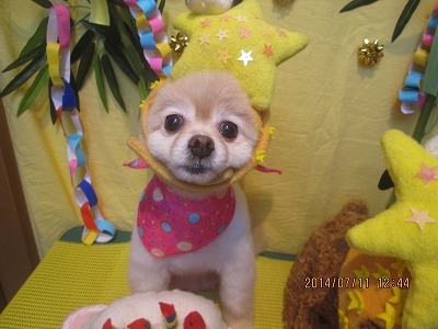 ファイル 7616-1.jpg