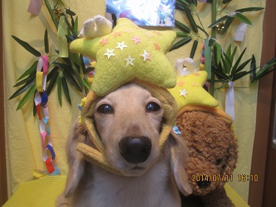 ファイル 7617-1.jpg