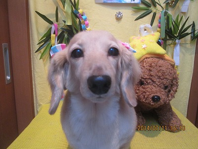 ファイル 7617-2.jpg