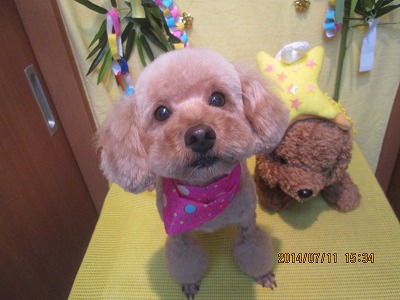 ファイル 7618-2.jpg