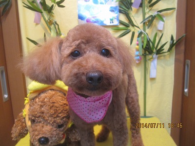 ファイル 7619-2.jpg