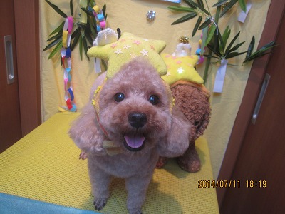 ファイル 7621-1.jpg