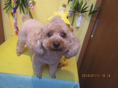 ファイル 7621-2.jpg