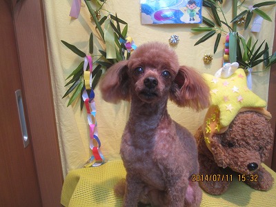 ファイル 7622-2.jpg