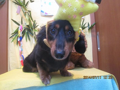 ファイル 7623-2.jpg