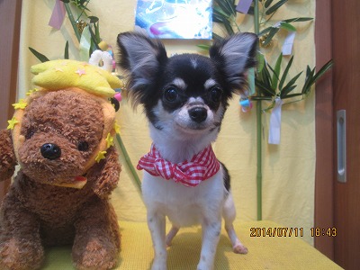 ファイル 7624-1.jpg