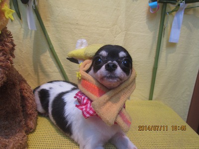 ファイル 7624-2.jpg