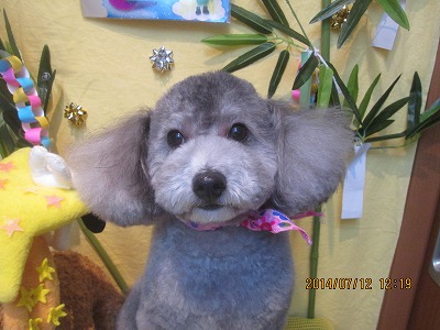 ファイル 7625-2.jpg