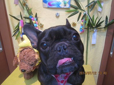 ファイル 7626-2.jpg