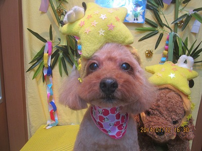 ファイル 7627-2.jpg