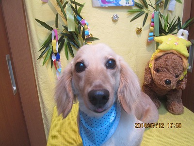 ファイル 7628-2.jpg