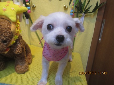 ファイル 7629-2.jpg