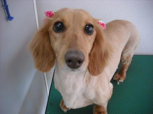 ファイル 763-1.jpg