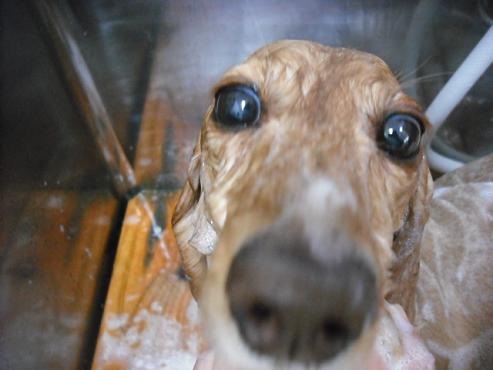 ファイル 763-2.jpg