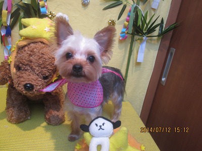 ファイル 7630-1.jpg