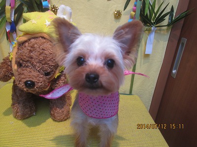 ファイル 7630-2.jpg