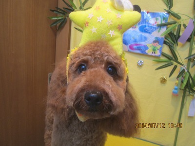 ファイル 7632-1.jpg