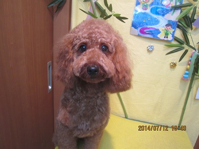 ファイル 7632-2.jpg