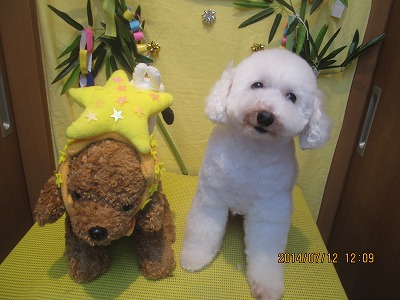 ファイル 7633-2.jpg