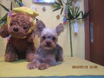 ファイル 7634-2.jpg